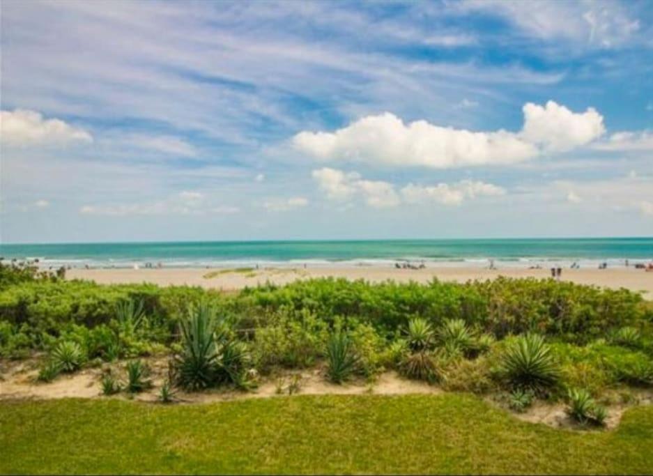 Beach Living At Its Best! โคโคบีช ภายนอก รูปภาพ